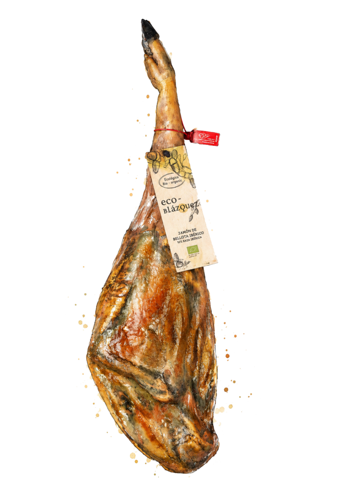 jamon-bellota-iberico-50-raza-iberica-ecologico-blazquez.jpg